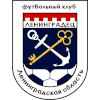 home team logo
