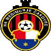 home team logo