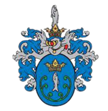 home team logo