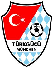 home team logo