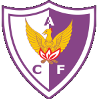 home team logo