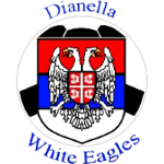 home team logo