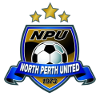 home team logo