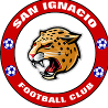 home team logo