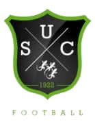 home team logo