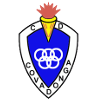 home team logo