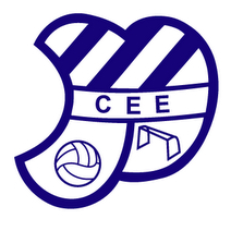 home team logo