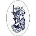 home team logo