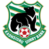 away team logo