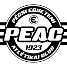 home team logo