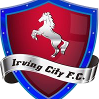 home team logo