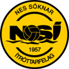 home team logo