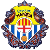 away team logo