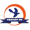 away team logo