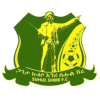 home team logo