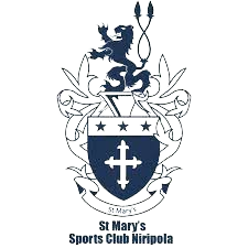 home team logo