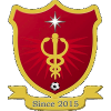 home team logo