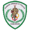 home team logo