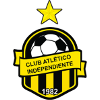 home team logo