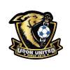 home team logo