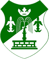 home team logo