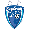home team logo