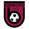 home team logo