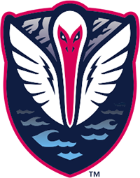 home team logo