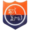 home team logo