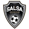 home team logo