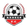 home team logo