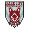 home team logo