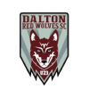 home team logo