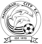 home team logo