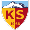 home team logo