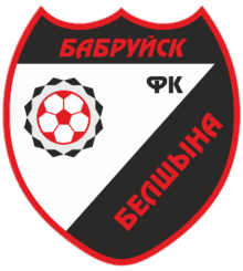 home team logo