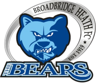 home team logo