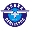 home team logo