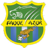 home team logo