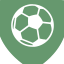 home team logo
