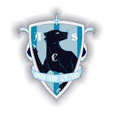 home team logo