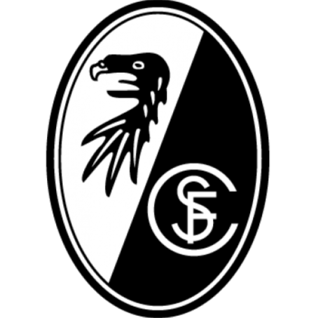 home team logo