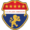 home team logo