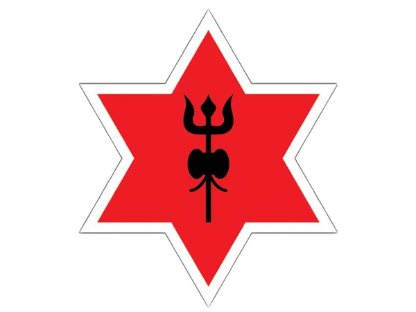home team logo