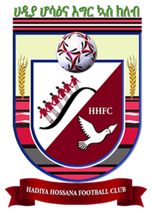 home team logo