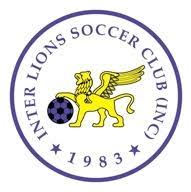 home team logo