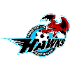 home team logo