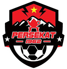 home team logo