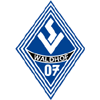 home team logo