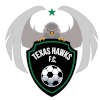 away team logo